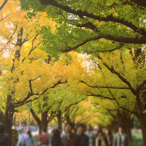 冬の予定作りはデートクラブで