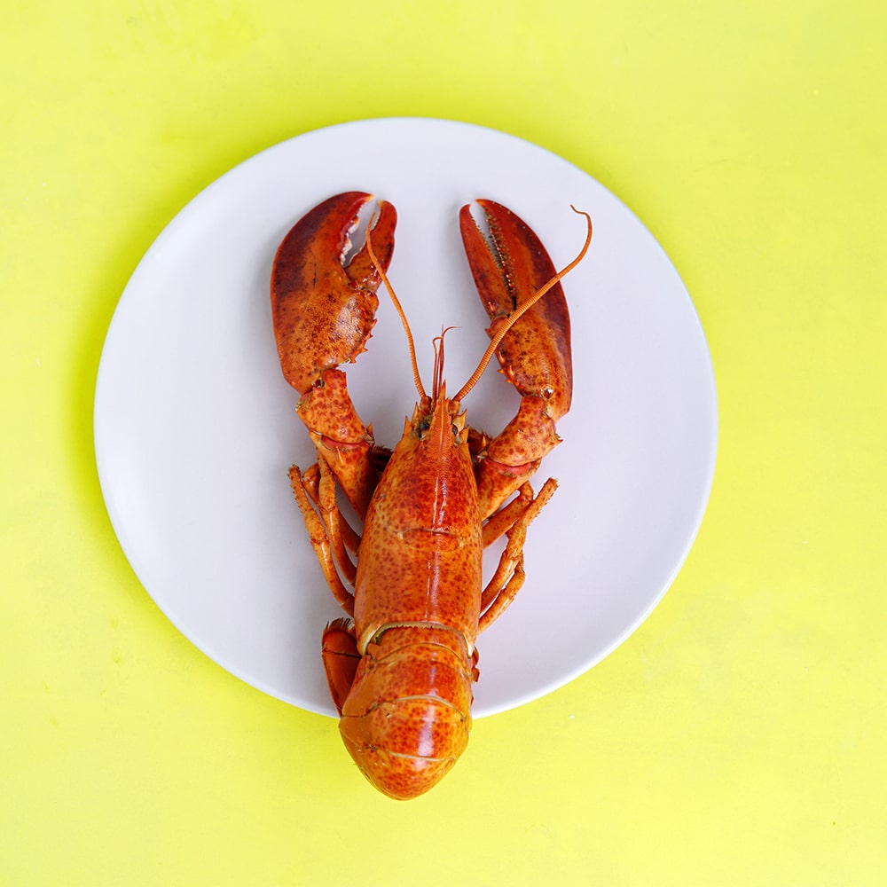 年末年始休業のお知らせ